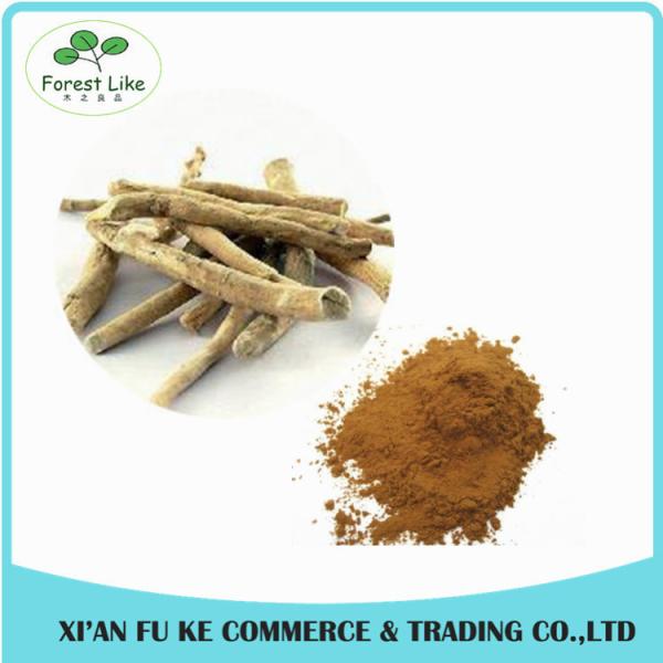 Buy Panama Ginseng Extract Ginsenosides at wholesale prices