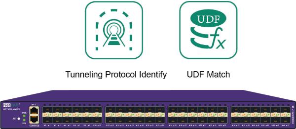 Network Packet Broker with Tunneling Protocol Identify Net TAP with Data