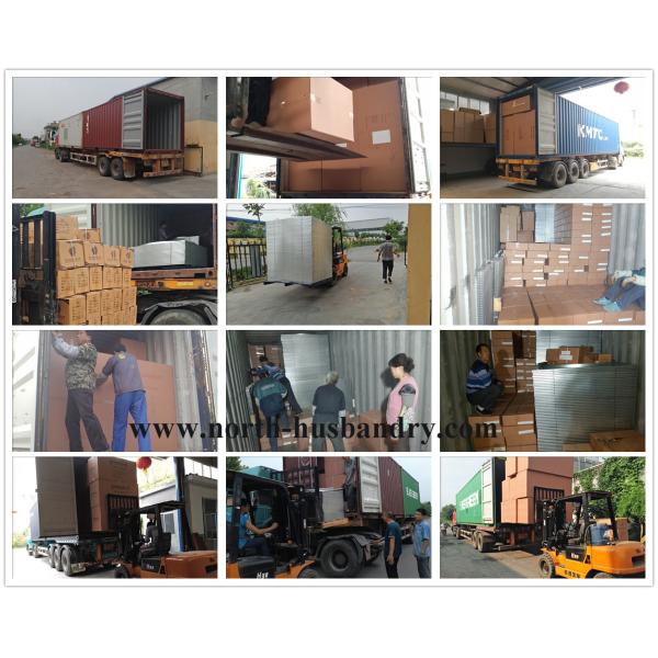 Poultry Farm Exhaust Fans For Malaysia,Circulation fan,Axial flow fan