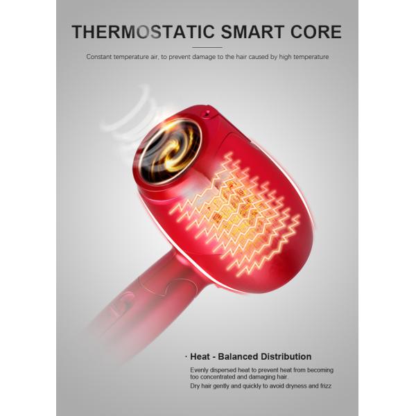 Dual Voltage 110-240V Hair Blow Dryer Travel With Folding Handle