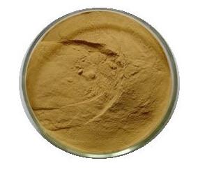 Quality Rosemary Extract,Rosemary Extract powder,Carnosol 20% HPLC for sale