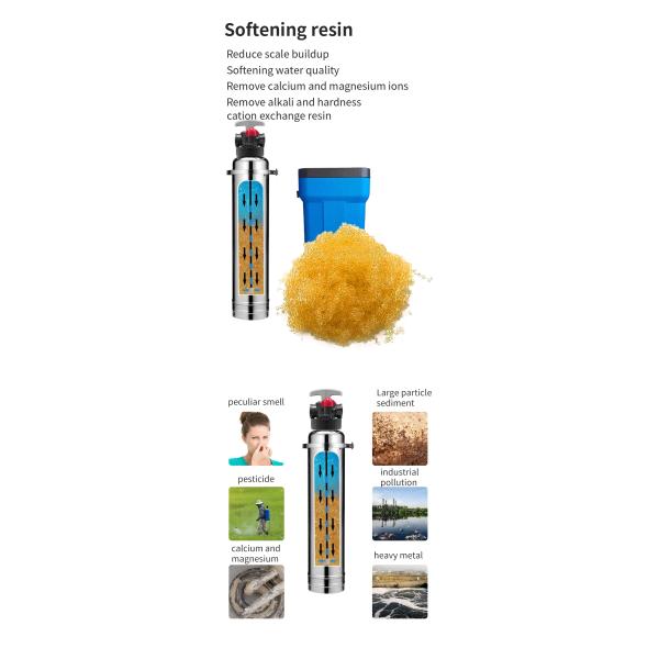 Manual Central Water Softener Resin Filter SS304 Calcium Ion Exchange 1000L/H 2000L/H 3000L/H