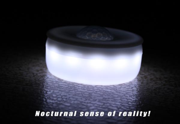 Buy USB Unique Intelligent Induction Lamp / Motion Sensor Night Light No Stimulation at wholesale prices