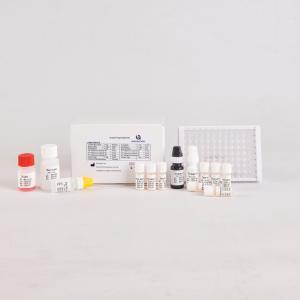 Laboratory Or Hospital High Precision Human Helicobacter pylori  HP ELISA Kit