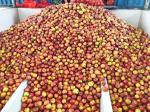 Energy Saving Fruit Juice Processing Line Complete Making Machine