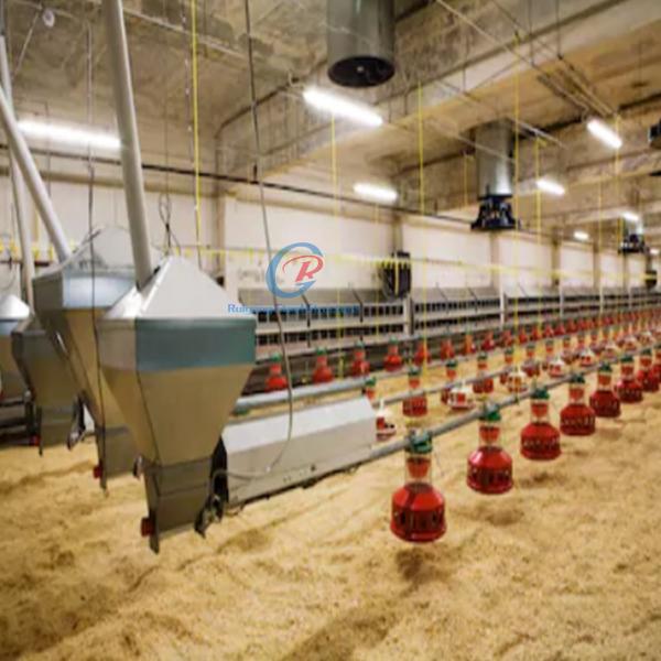 Galvanized Steel Structure Poultry House Building Farm Chicken Coop Steel Frame Prefab