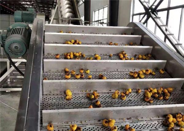 Buy Energy Saving Passion Fruit Processing Line Easy Operation CE Certificate at wholesale prices