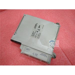 China Schneider Modicon TSXAEY1600 analog input module Modicon Premium TSXAEY1600 on sale