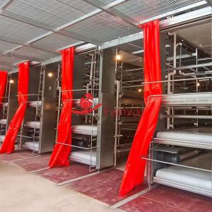 Anti-Aging Stable Operation Poultry Manure Removal System Rust Resistance