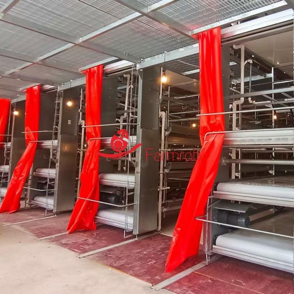 Buy Anti-Aging Stable Operation Poultry Manure Removal System Rust Resistance at wholesale prices