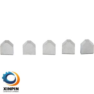 Quality Metalcutting Tungsten Carbide Tip , Sandblasting Surface Carbide Saw Tips for sale