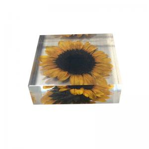 Quality Cubic acrylic resin paper weight with insect and flowers inside acrylic paperweight for sale