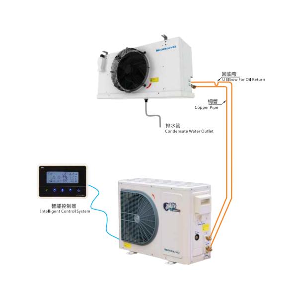 DCF030AM Electronic expansion valve control cooling fast, high efficiency SCROLLTECH CONDENSING UNIT + UNIT COOLER