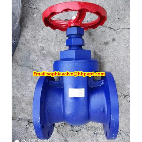 BS flanged gate valve with metal seal