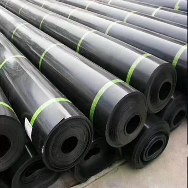 Industrial Design Style 2019 HDPE Geomembrane Liner for Indoor Shrimp Farming in Kenya