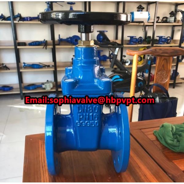 GGG50 resilient seal BS gate valve