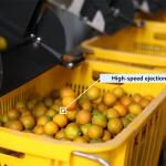 380V / 50Hz Apex Kumuats Sorting Machine Electronic Weighing System With 99.9%