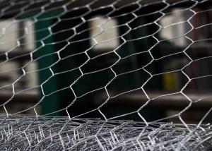 Quality Electro Galvanized Rabbit Chicken Hex Wire Netting for sale