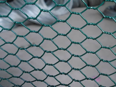 Galvanized Hexagonal Wire Netting