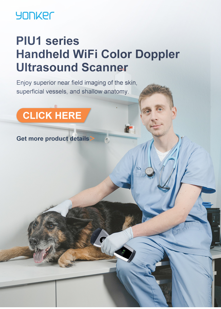 Yonker Pocket Veterinary Ultrasound Scanner Portable Handheld WiFi Color Wireless Ultrasound Probe Vet for Animal Cat Pet Dog