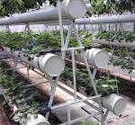 Pollution Free Commercial Hydroponic Greenhouse Saving Water / Fertilizer