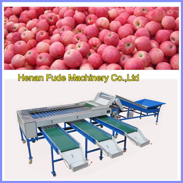 Buy apple sorting machine, mango sorting machine at wholesale prices