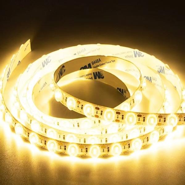 24V Input Voltage LED Strip Light with High Brightness and Customizable White Green Red