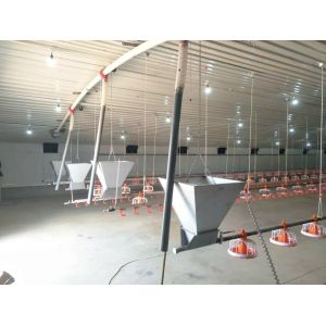 Quality Chicken Farm Chain Automatic Pan Feeding System 1 Phase for sale