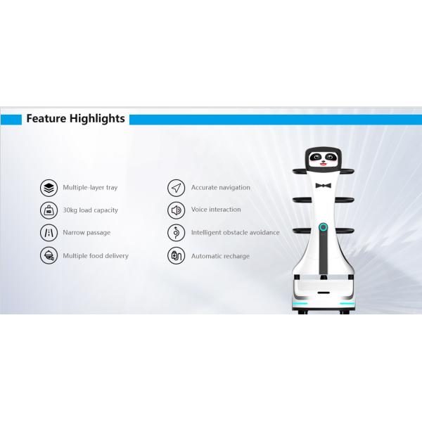 High Accuracy Panda AI Delivery Robot Autonomous Delivery Robot
