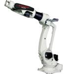 6 Axis Robot Multi Axis Robotic BX250L With High Load 250kg