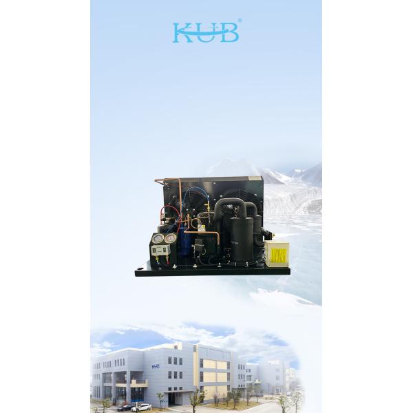 TAG2516Z 4HP Tecumseh Refrigeration Condensing Unit 380V