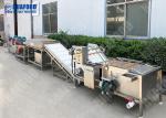 Customized Mutuality Function Fruit And Vegetable Processing Line