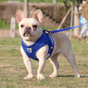 Quality Polyester Mesh Breathable Pet Harness Vest Tensile Force Is Divided Evenly for sale