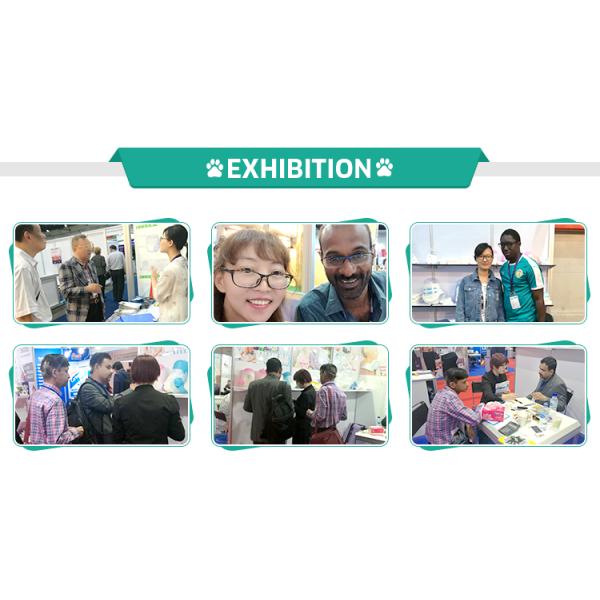 Private Label Custom Size Accepted Environmental Protection Ldpe Hdpe Dog Waste Bag