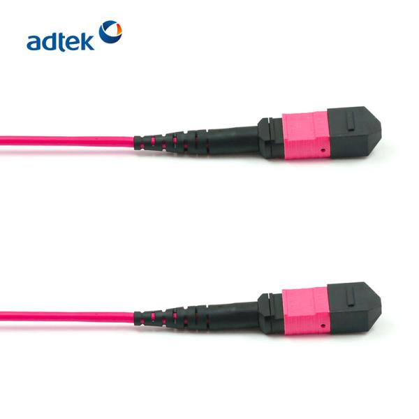 MPO MTP Trunk Cable OM4 3M PVC/LSZH Violet MPO Patch Cord 12/24 Fibers