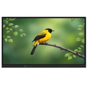 LCD Smart Board 110 Inch Android Win OPS PC Audio VGA USB RJ45 WIFI Interactive Teaching Machine Tools With Education Software