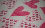 Printed Coral Fleece, Warp Knitted Fleece, Blanket Fabric/High Quality fabric