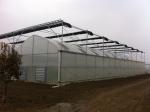 High Output Hydroponic Lettuce Greenhouse Wind Load 100KM/H With Multi Layer