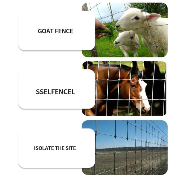 Farm Fencing Wire Galvanized Field Fence Factory