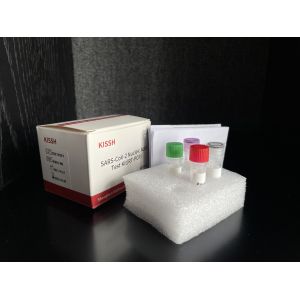 SARS-CoV-2 PCR Test Nucleic Acid Test Kit RT-PCR 32 tests/box, 90 minutes for