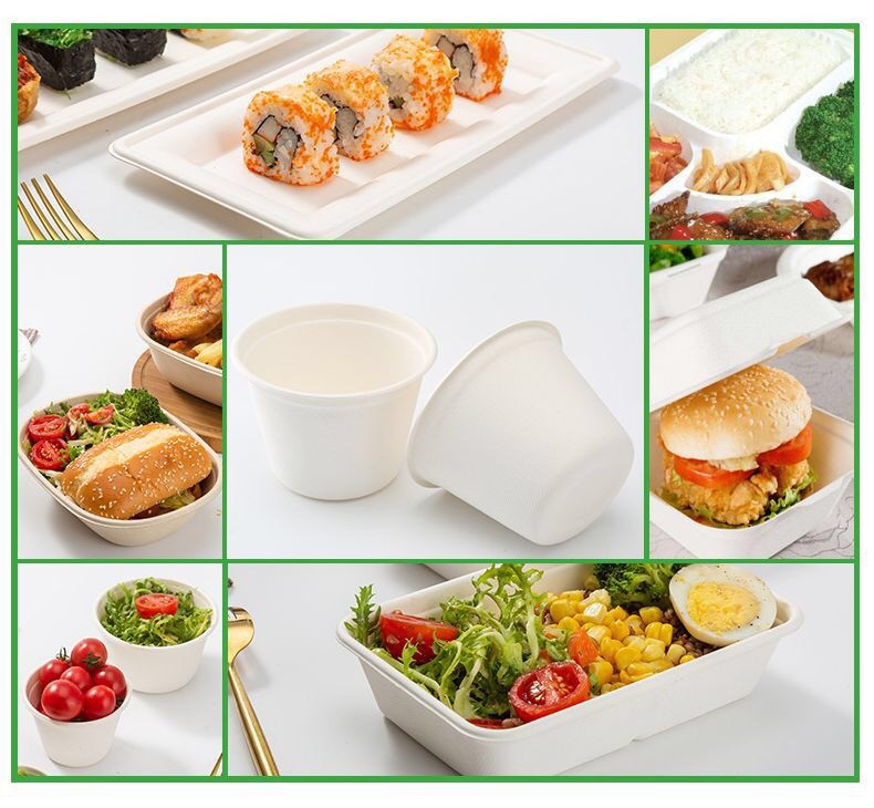 500ml Disposable Compostable Bagasse Bowls Bowl With Lid Biodegradable