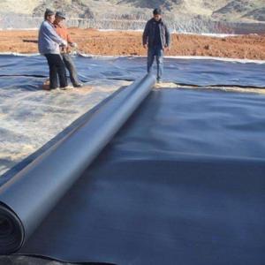 Quality Double Texture HDPE Geomembrane Fish Farm Pond Liner with Project Solution Capability for sale