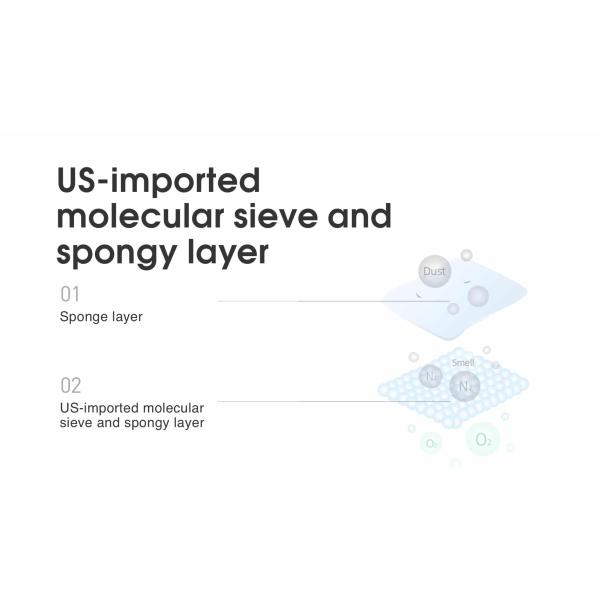 Remote Control Portable Oxygen Concentrator 10 Liter Medical