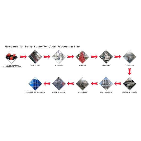 Professional Berry Processing Equipment / Fruit Jam Processing Machinery