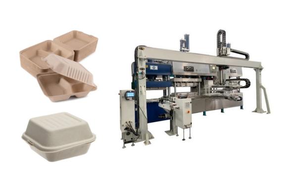 Buy Sugarcane Bagasse Pulp Clamshell Container Production Line With Singlel Robot Arm at wholesale prices