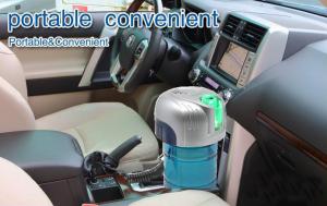 DC 12V Negative Ions Custom Car Air Fresheners and Air Humidifier with fashionable design