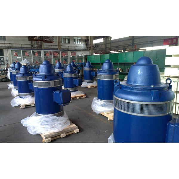 Low Vibration Vertical Shaft Electric Motor F Class Totally Enclosed VHS Motor