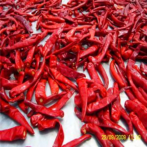 China Spicy Chinese Dried Red Chili Peppers With As Ingredients on sale