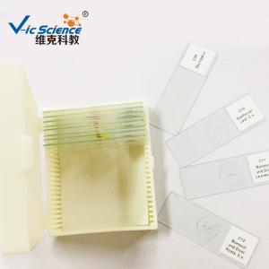 Quality 25pcs Set School Education 1.2mm Prepared Microscope Slides for sale