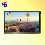 LVDS Interface 40PIN 10.1 TFT LCD Display 1024x600 TFT IPS Display